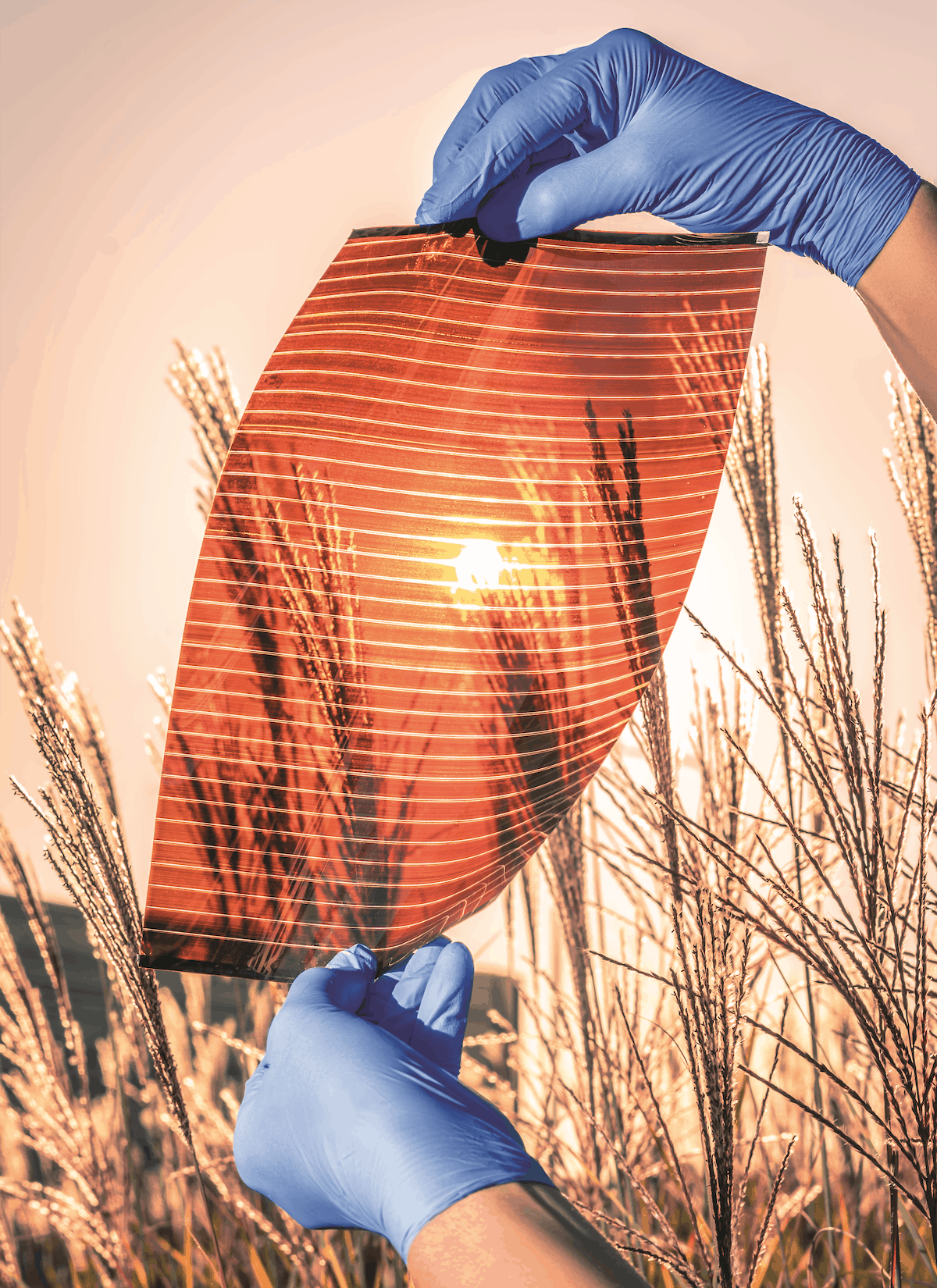 The latest A4 perovskite solar panel developed by Saule Technologies